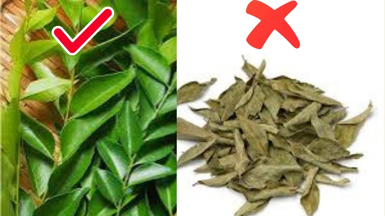 Chef on How to Keep Curry Leaves Fresh in Fridge