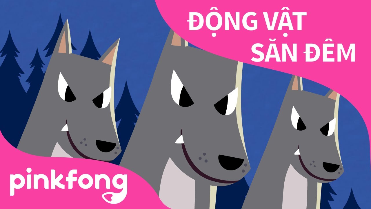 Động Vật Săn Đêm | Bài hát dành cho trẻ em 🦉