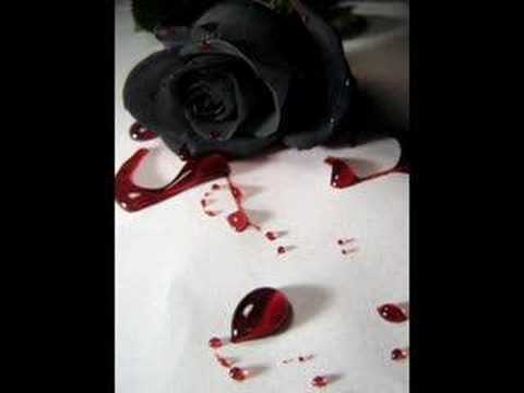 Inner Circle - Black Roses 🎶 with Lyrics
