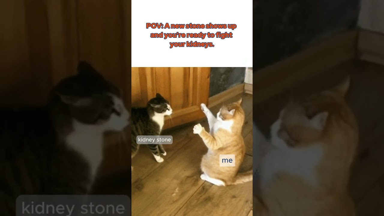 Kidney's Vibe Interrupted by a New Stone 🩺