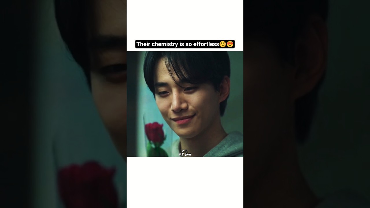 Their Chemistry Is Unforgettable! π | Typhoon Family (2025) K-Drama Highlights