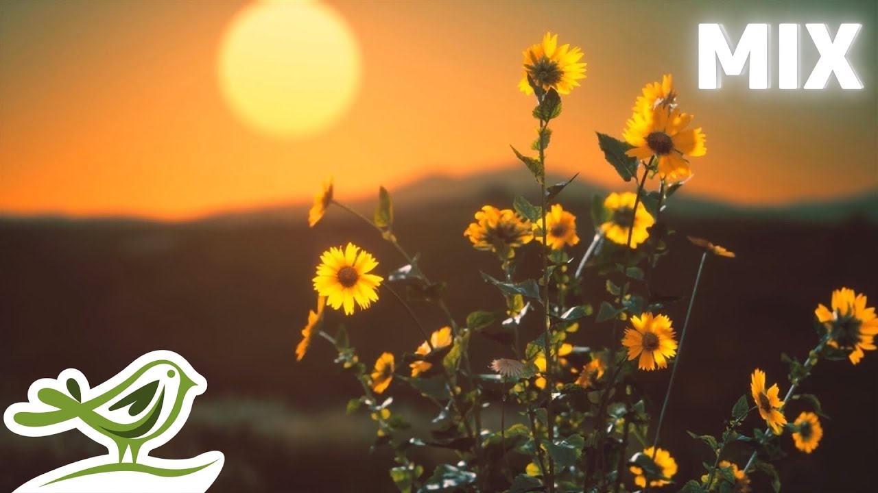 19 Relaxing Music Tracks by Peder B. Helland