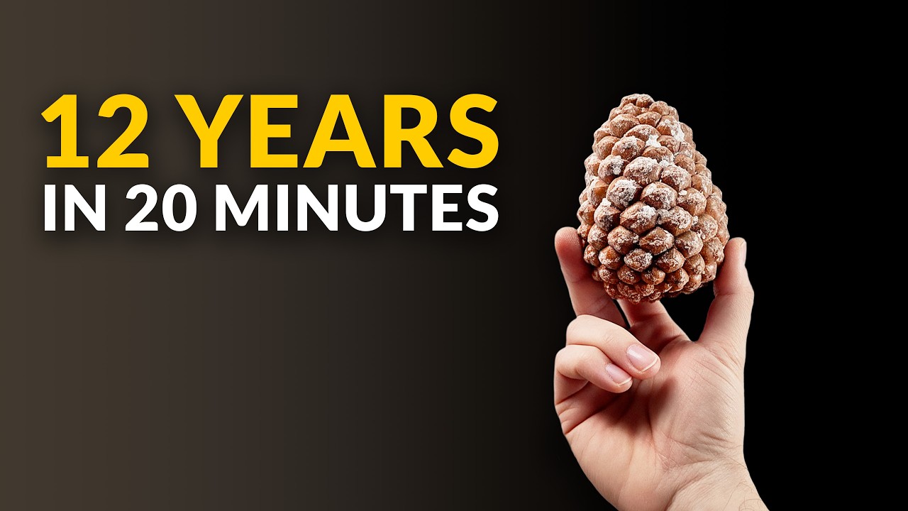 12 Years of Plant Growth in Time-Lapse 🌱