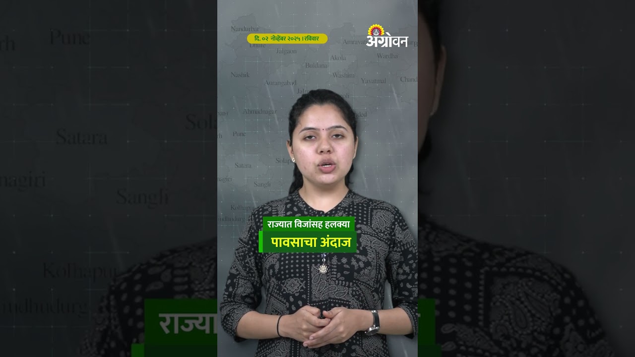 राज्यात विजांसह हलक्या पावसाचा अंदाज; कमी होणार पावसाचा जोर