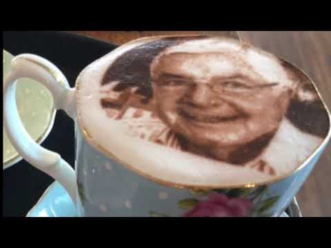 Dashing Willoughby & Melbourne Cup Betting Strategy 🐎