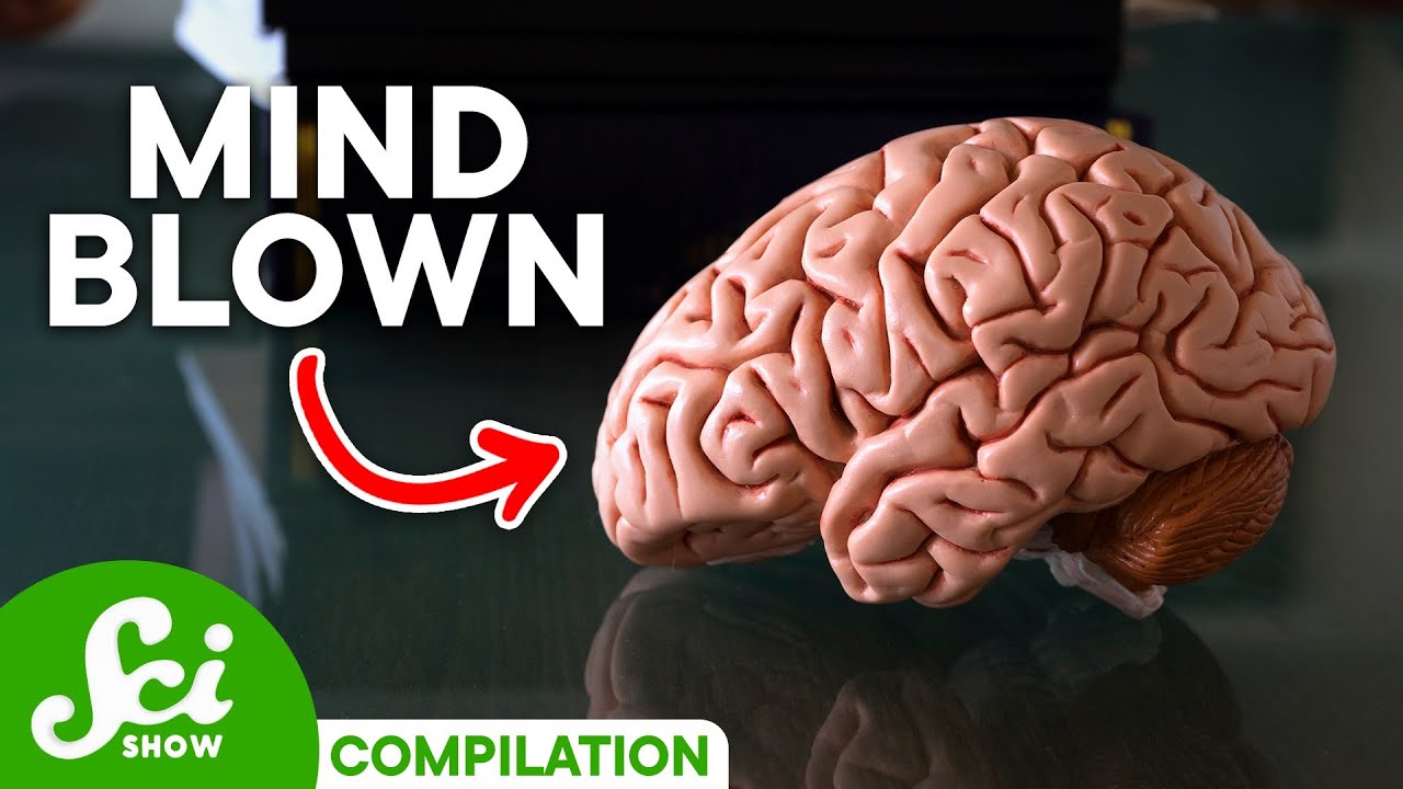 5 Mind-Blowing Brain Facts 🧠