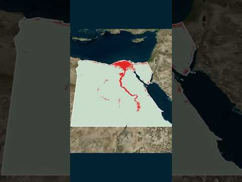 ليه مصر أغرب بكتير مما تتخيل ؟!