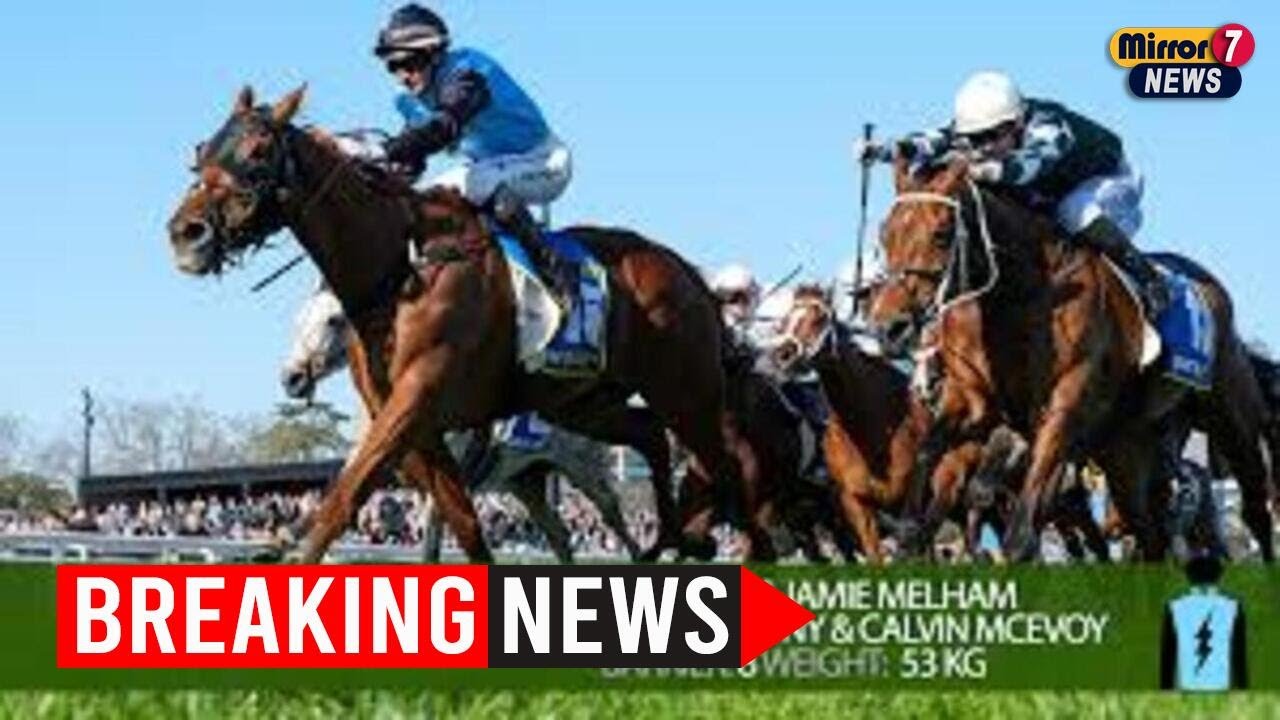 Melbourne Cup Countdown: Everything You Need to Know 🏆