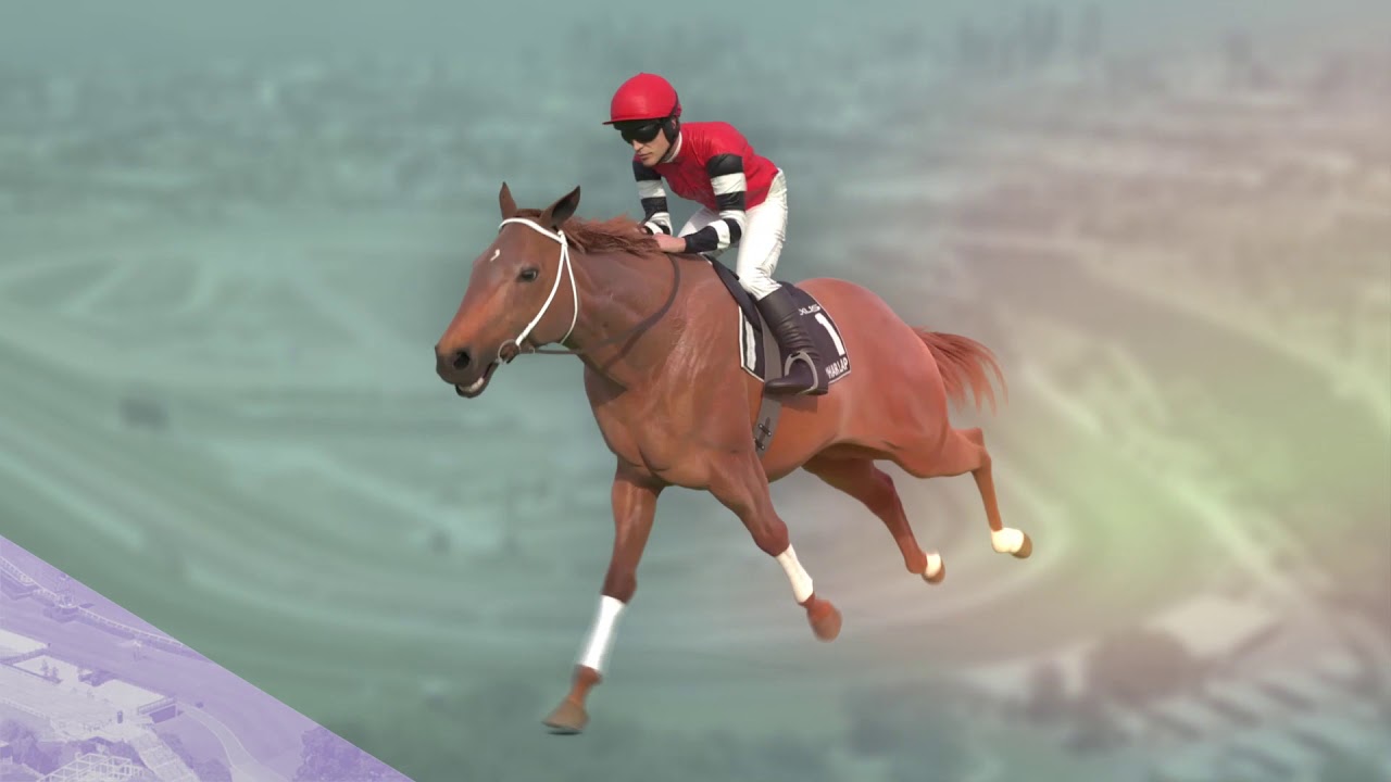 Melbourne Cup 2020 Trailer 🏆