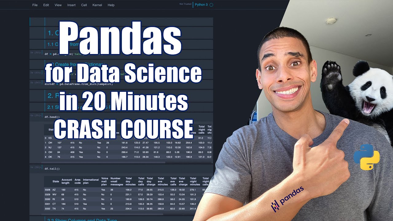 Master Pandas for Data Science in Just 20 Minutes 🚀 | Python Crash Course