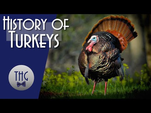 The History of Turkey 🦃