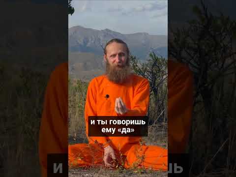 Духовность — это говорить жизни «да»