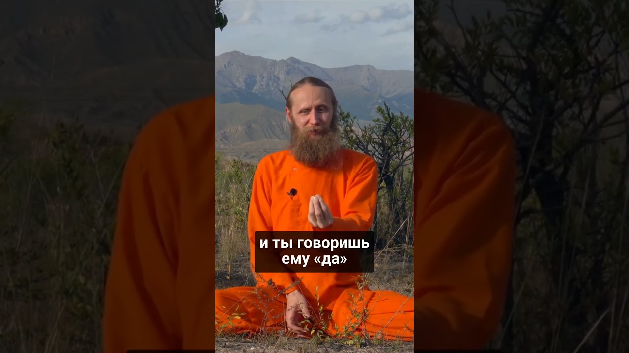 Духовность — это говорить жизни «да»