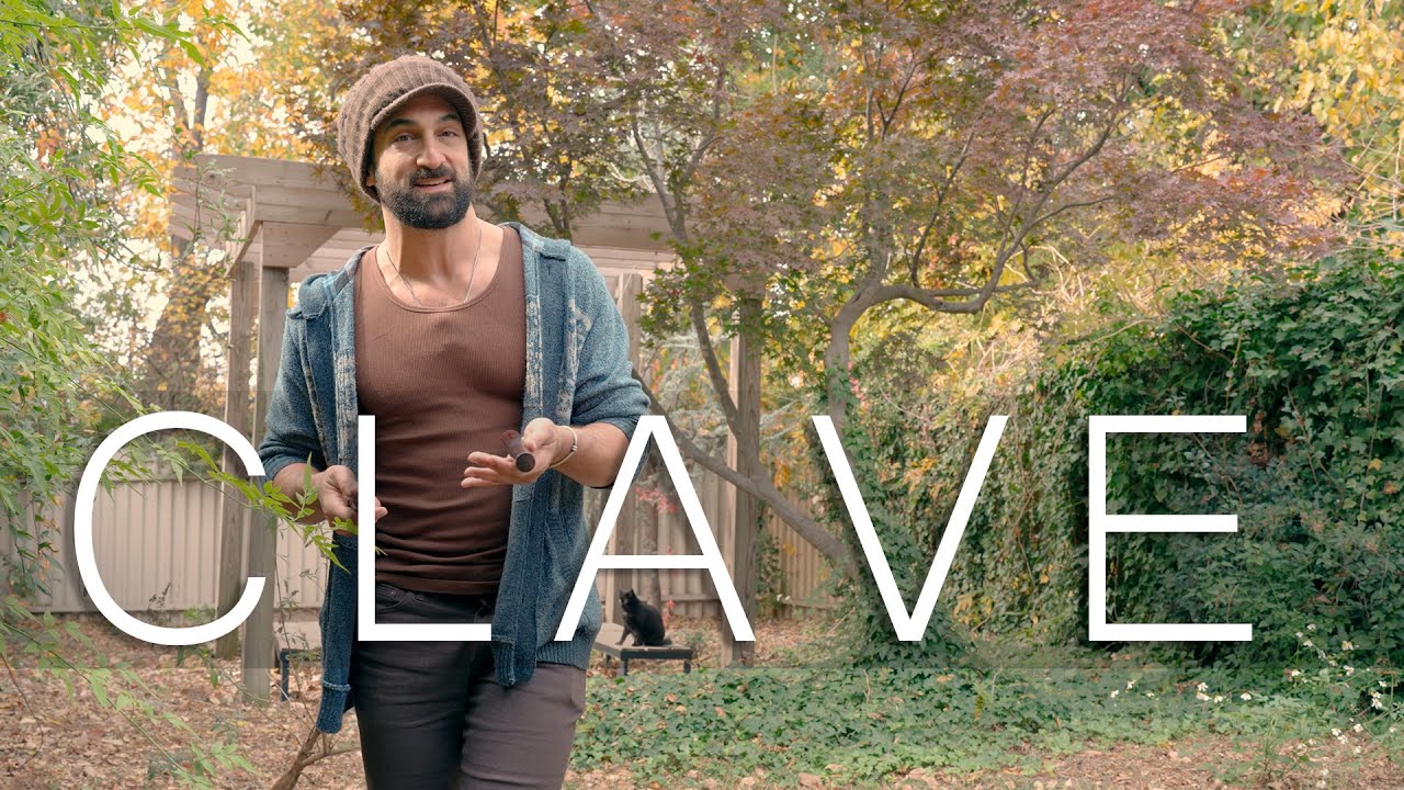 Master the Clave: Essential Rhythms & Patterns 🎶