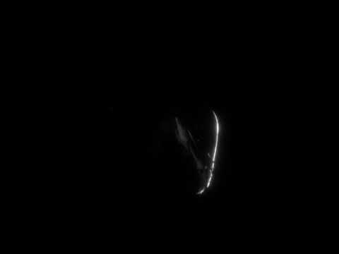 Cheb Mouiz 2021 Bel Rkhas Badaltini (Slowed & Reverb)