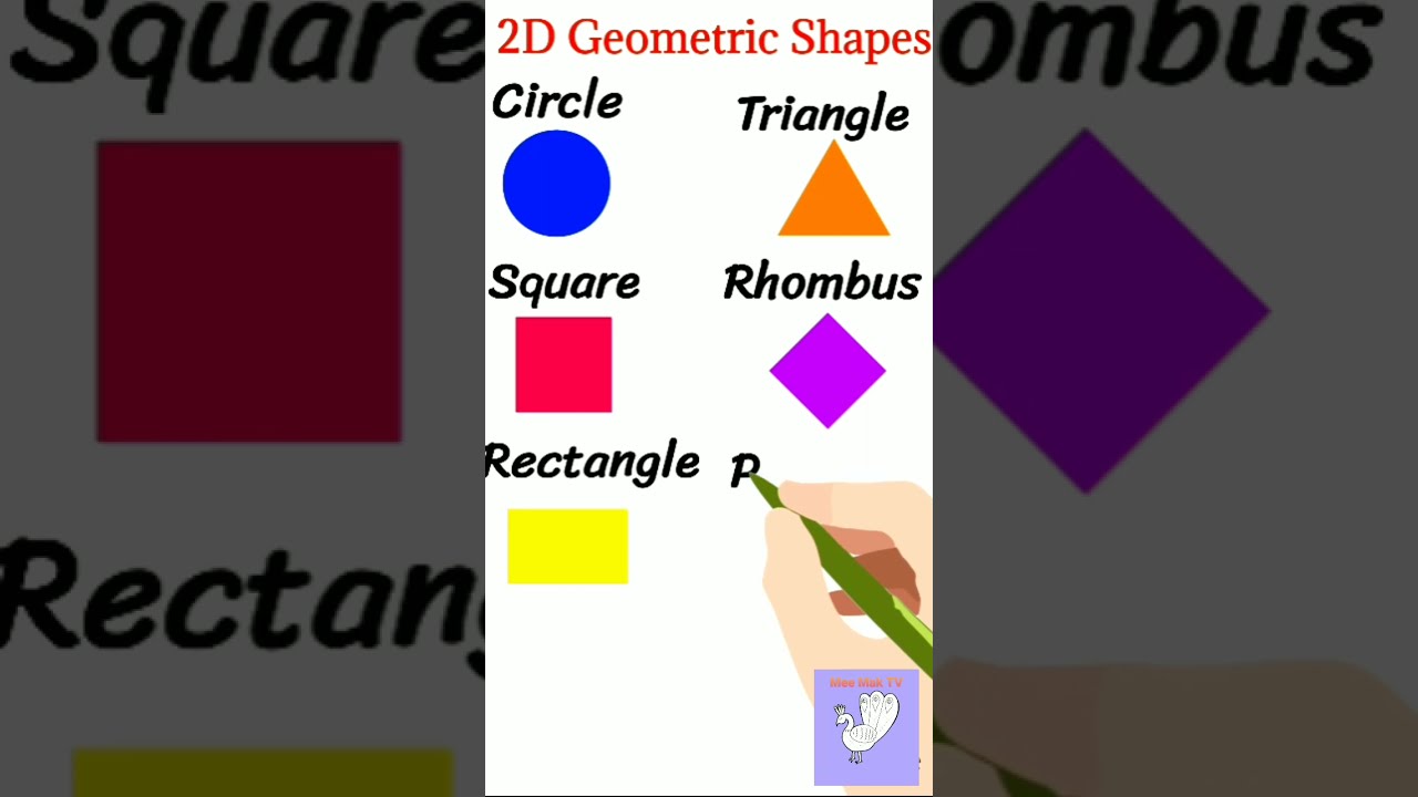 Essential Geometrical Shapes for Beginners 📐 | Circles, Triangles & More