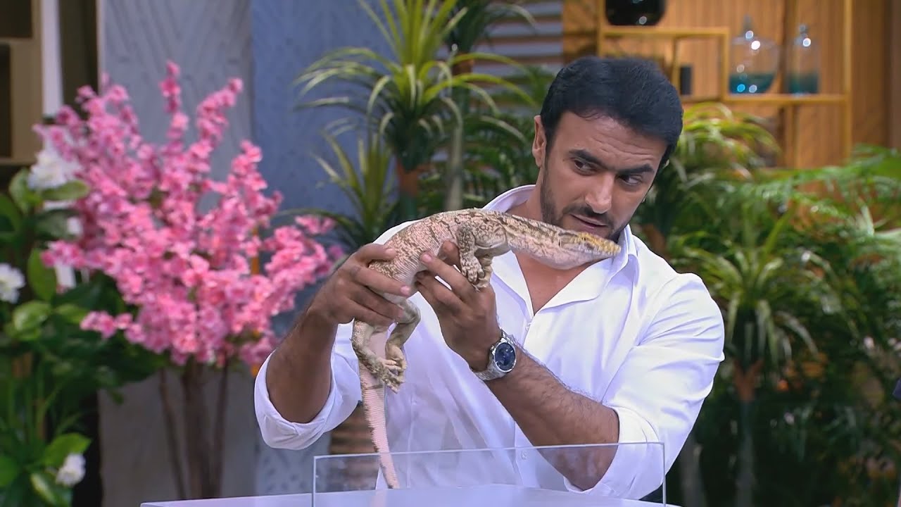 احمد العوضي يتحدث عن خوفه من السحالي 🦎