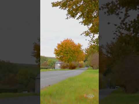 DNA photographers X Strahlwerk Deluxe Bulli power