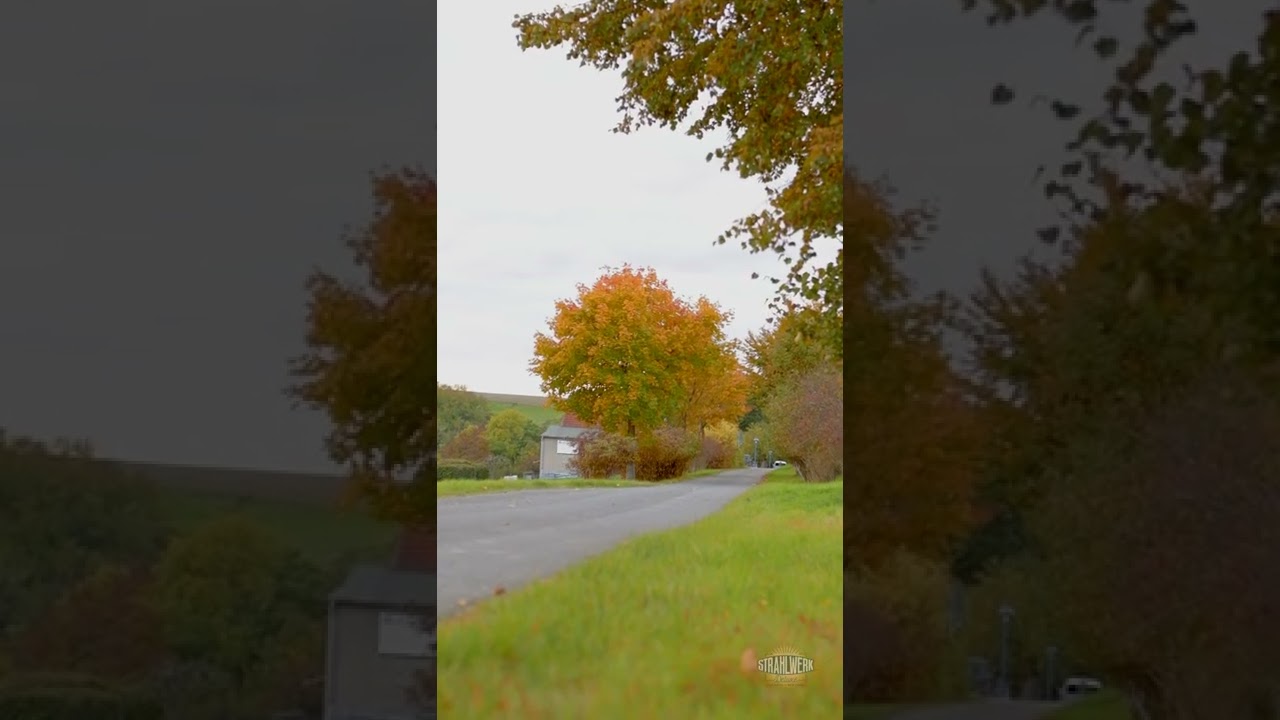 🚐 Witness the Speed of Robin’s Aircooled Bus with DNA Photographers!