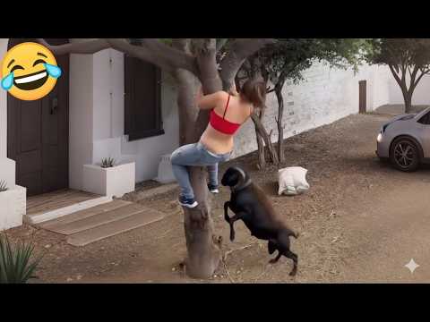 Best Funny Videos Of 2025 😂😁 | Try Not To Laugh CHALLENGE (Impossible)