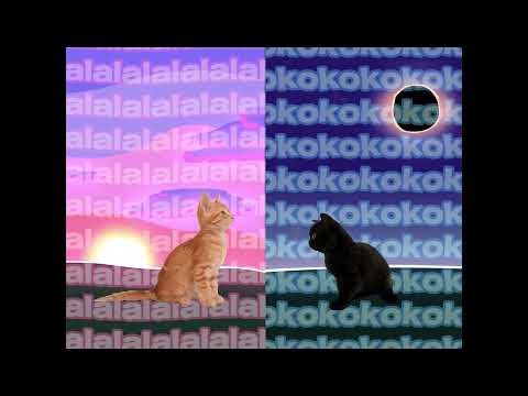 see you again ⁉️ (okok || lala)