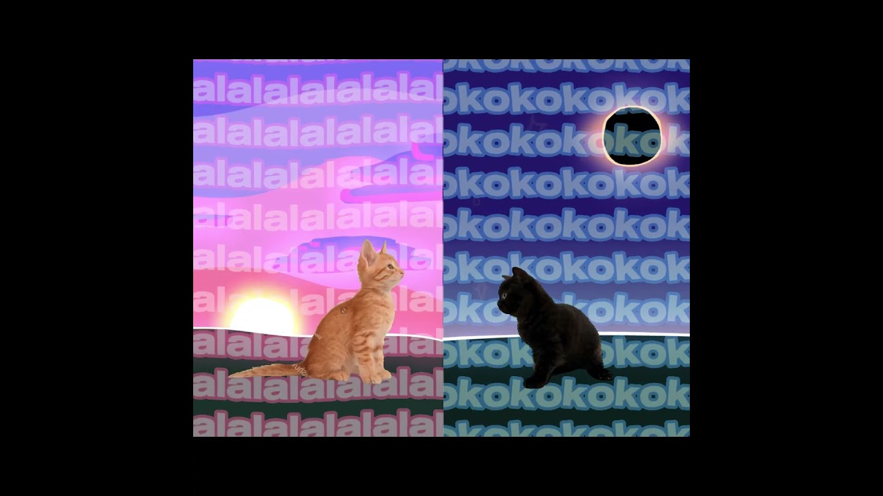 Do I Really Need a Description for Shorts? 🤔