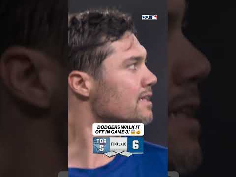 FREDDIE FREEMAN 18th INNING WALK OFF #mlb #baseball