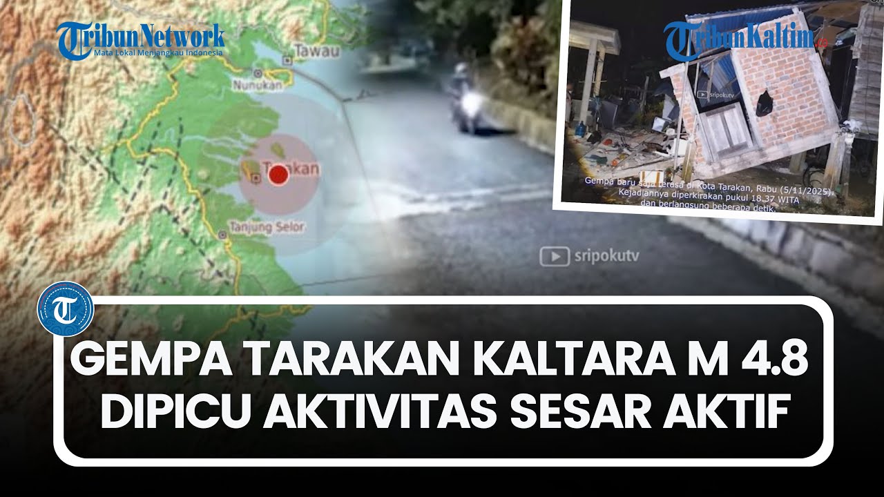 Gempa Tarakan Kaltara Berkekuatan 4.8 Magnitudo Dipicu Sesar Aktif, Rumah Warga Rusak
