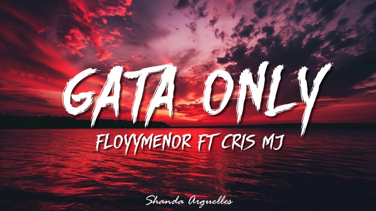 FloyyMenor ft. Cris MJ - GATA ONLY Lyrics ✨