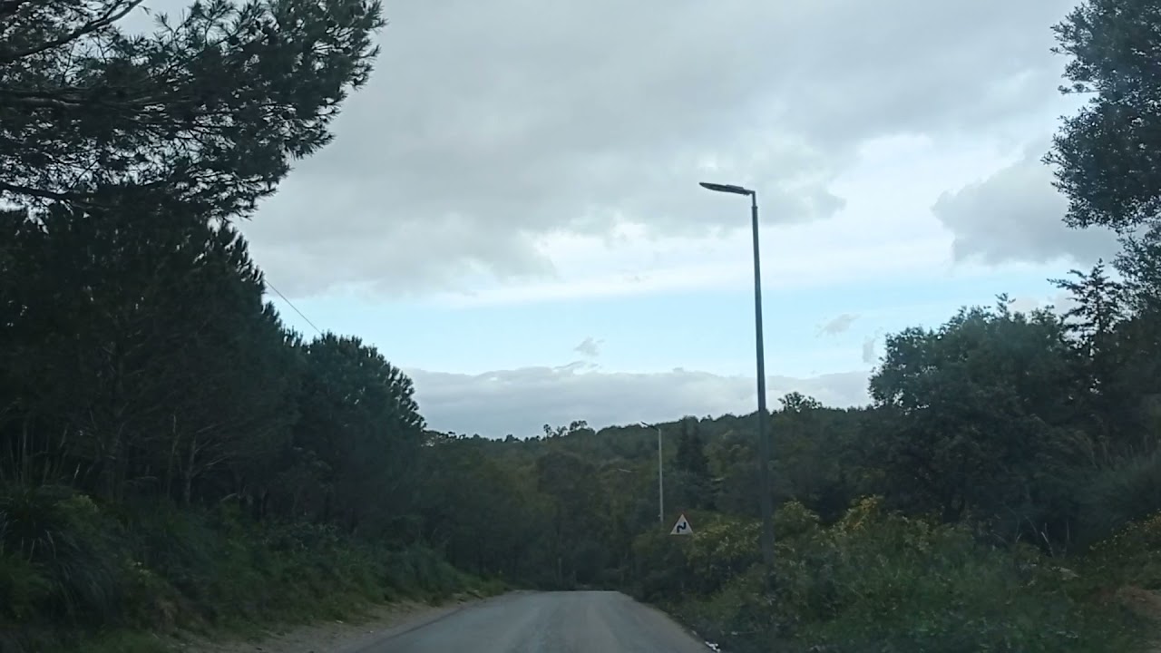 Drive from Bouzareah to Bainem Forest 🌳