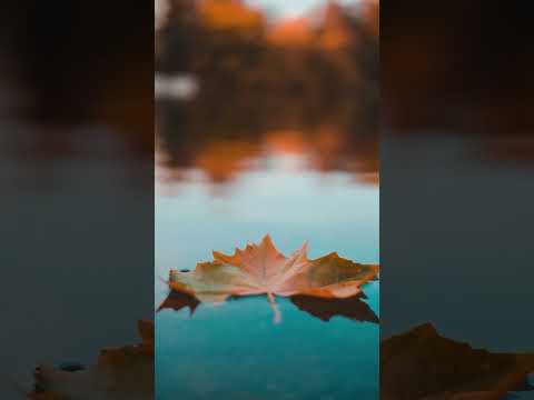 Грустная песня о любви: Хочу чтоб ты навек меня покинул #авторская #песняолюбви #музыка #music