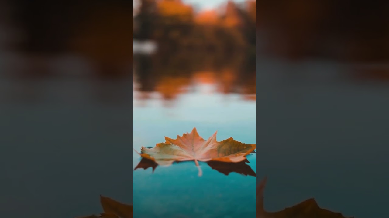 Грустная песня о любви, которая ранит 💔