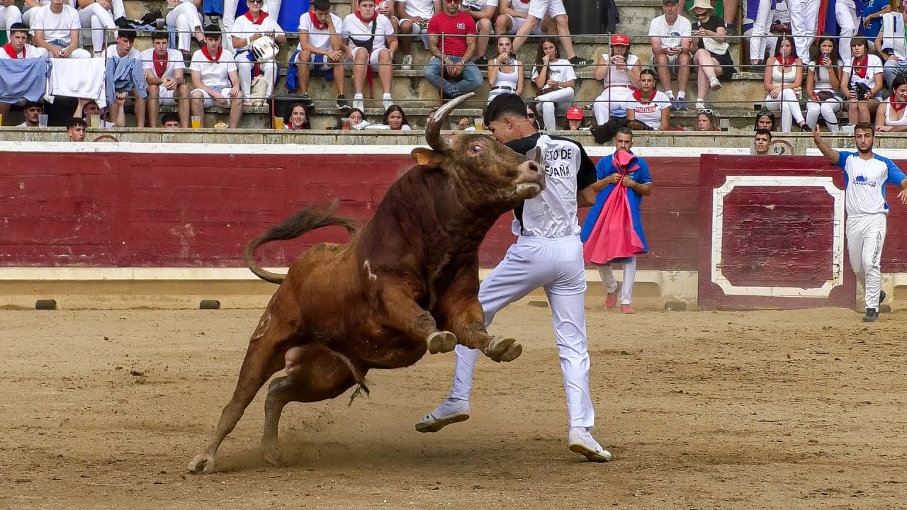 Recorte Jóvenes Promesas Tafalla 2025 🐂