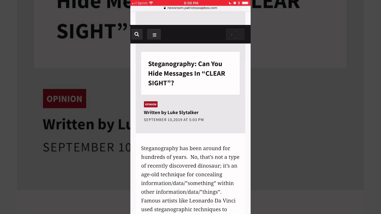 Steganography Unveiled: Hidden Messages in Plain Sight π΅οΈββοΈ