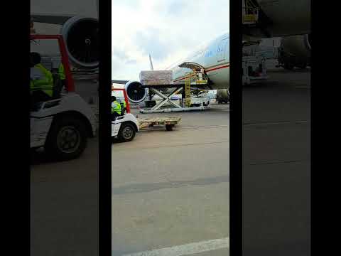 "Efficient Loading: Behind the Scenes of Etihad Aircraft Cargo Operations" #foryou #SHORTS