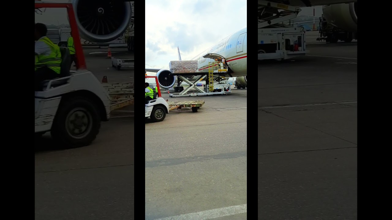 Inside Etihad's Seamless Cargo Loading Process โ๏ธ
