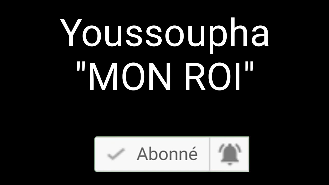 Youssoupha - Mon Roi (Lyrics & Paroles) 🎶