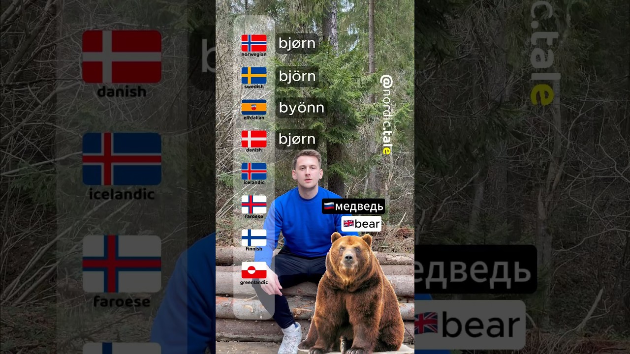 ๐ป Bear Names in Nordic Languages
