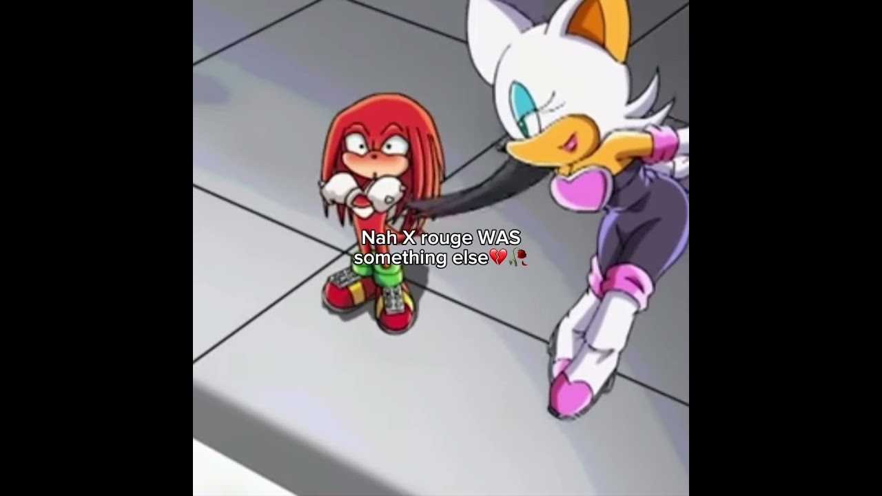 Discover the Unique Chemistry Between Sonic and Knuckles! π₯