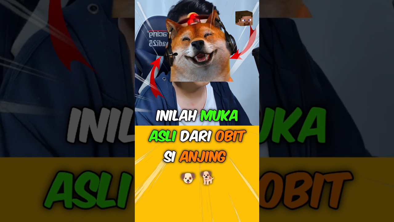 Muka Asli Obit Si Anjing 🐶