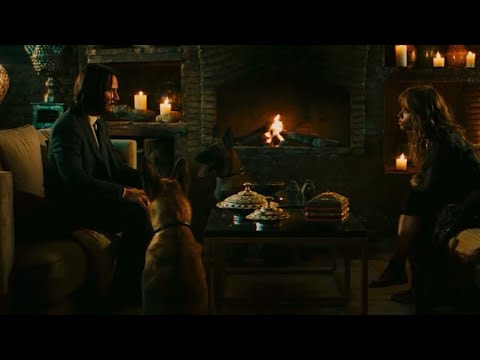 John Meets Sofia Scene | John Wick 3 (2019) 🔫