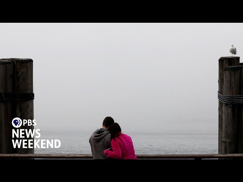 What the ‘bird theory’ test may reveal about your relationship