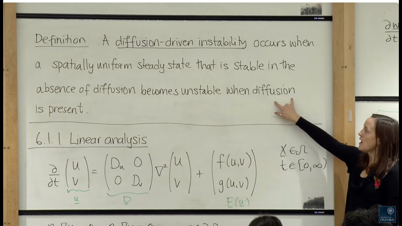 Unlocking Nature's Secrets: Reaction-Diffusion Models & Pattern Formation in Biology 🧬