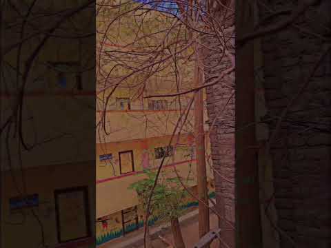 بهاء سلطان هو انت ازاي