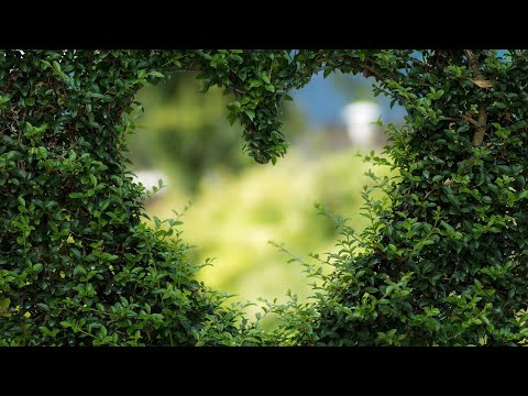 Романтичная музыка без слов