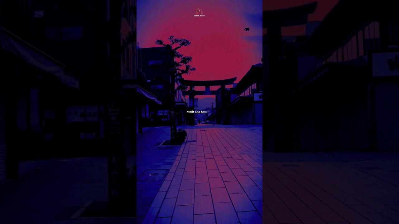 Malit Ana Bla Bik - Slowed Dystinct Lyrics 🎶