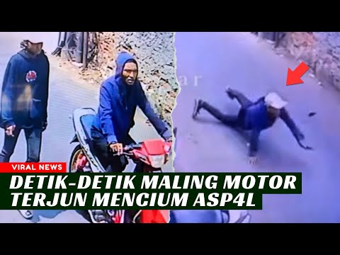 MALING INI JATUH DAN DI TINGGAL TEMANNYA⁉️Deretan Video Maling Apes Terbaru By Madao News