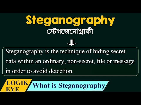 Steganography Tutorial | How to hide information inside the image | Cybercrime