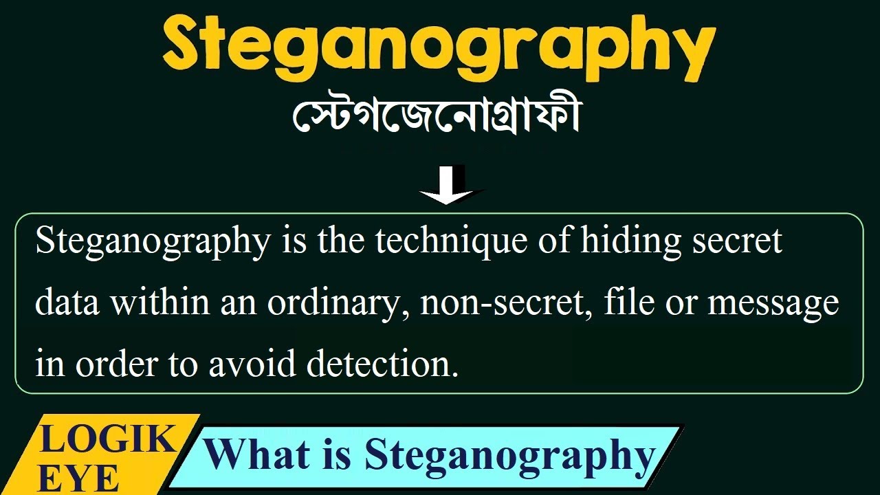 Master Steganography: How to Hide Data Inside Images 📸