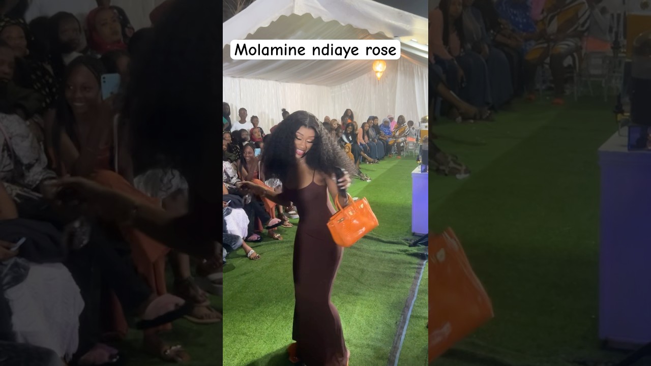 Contactez Molamine Ndiaye pour des Informations Importantes 📞